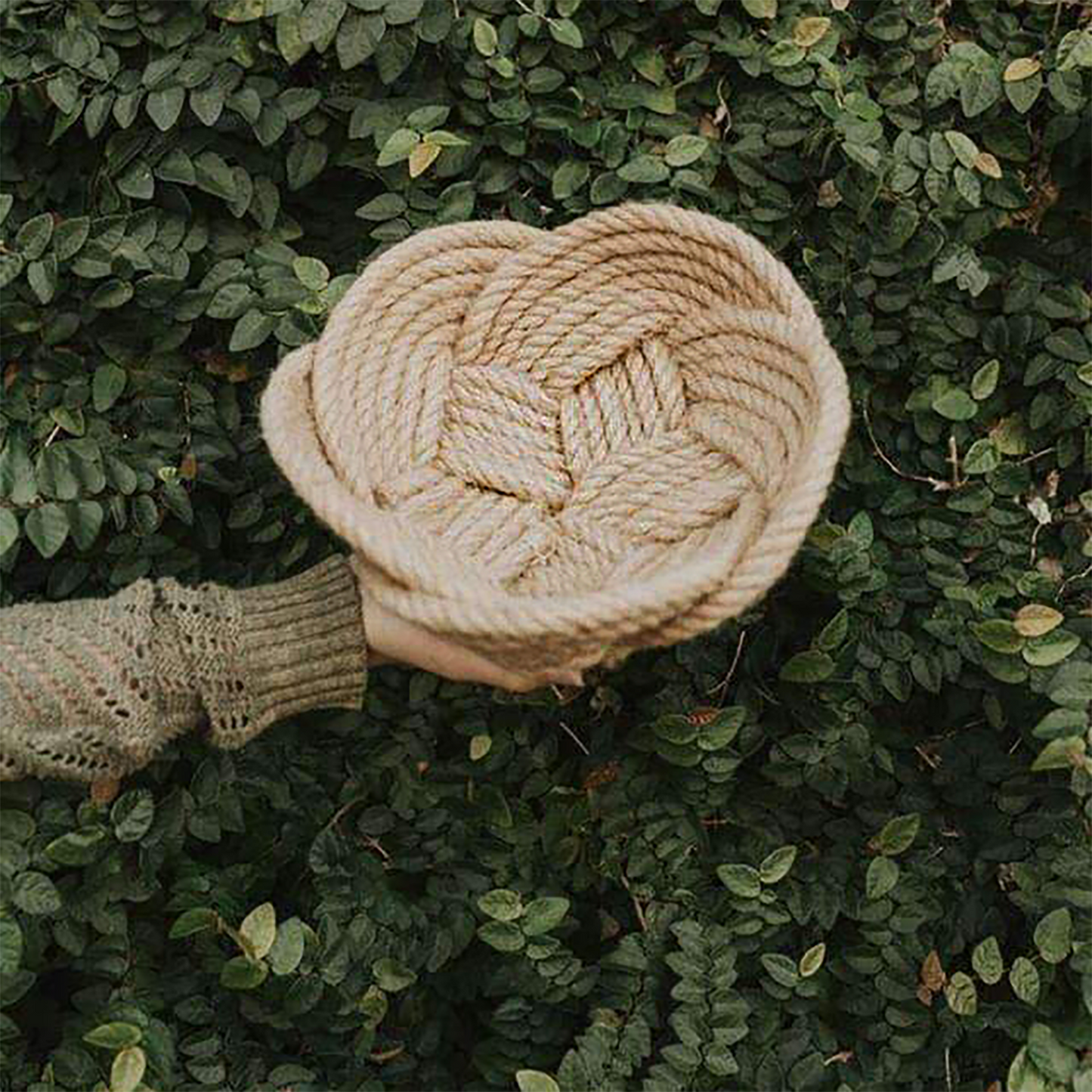 Large Bowls